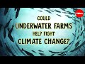Aquaculture Methods and Environmental Impact