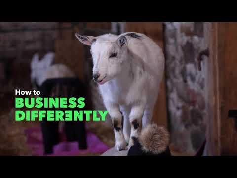 Business Differently with QuickBooks | Haute Goat Farm