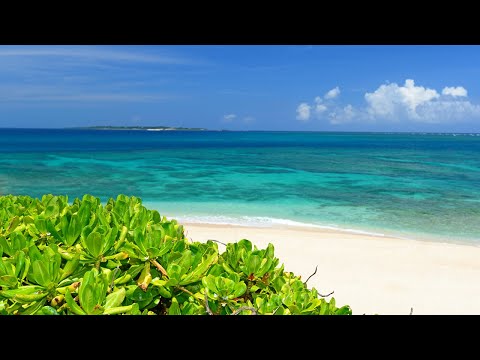 SUMMER SONG - YUI（フル）