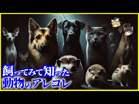 【ゆっくり解説】かわいい！だけじゃダメでした…！飼ってみて知った動物のアレコレを解説/犬、ネコ、ハリネズミ、ハムスター、カワウソ…！？