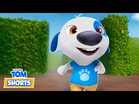 NEW EPISODE! Lost in the Maze 🌀😵💫 Talking Tom Shorts (S3 Episode 40)