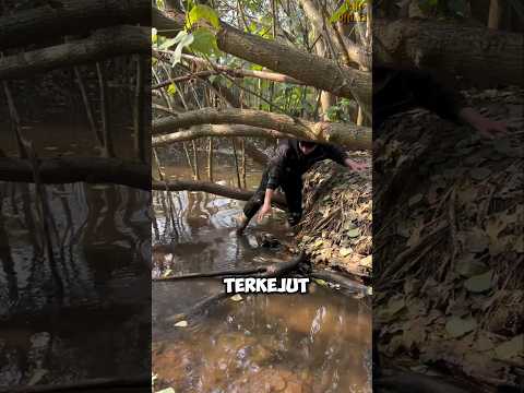 Penemuan Aneh di Sungai #shorts #viralvideo