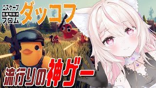 【Escape From Duckov】エスケープフロムダッコフってゲームが面白いらしいから遊んでみる！/有識者、初見さん大歓迎✨
