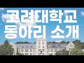 Korea University Club Activities Overview