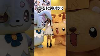 動画サムネイル