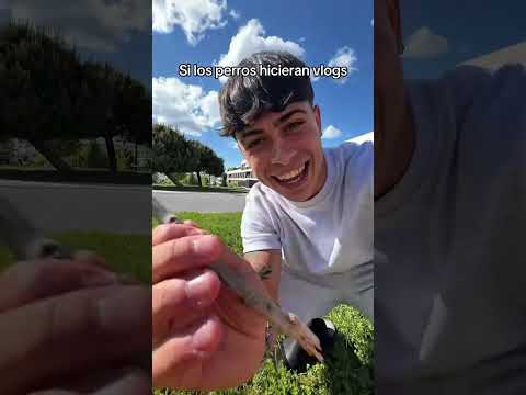Serían vlogs tan entretenidos🐶🤣 : #shorts #short #Bruno_S