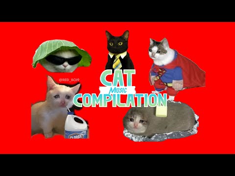 Funny cats Music Videos Compilation | Red Boi #memes #cat