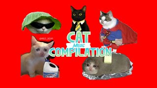 Funny cats Music Videos Compilation | Red Boi #memes #cat