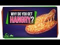 Understanding Hanger: The Science Behind Hunger-Induced Grumpiness