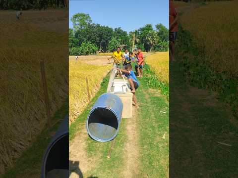 Saw everything today.