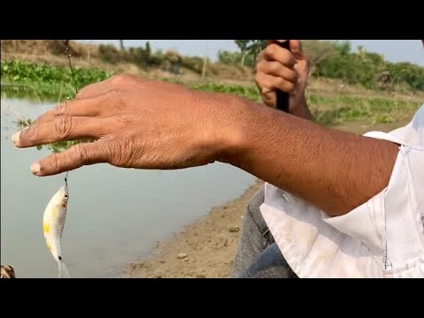 Best fish catching by hand fishing rod in river canal