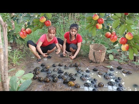 Survival in the rainforest, Pick snail & Wild apple fruit, Snail boiled with chili sauce for dinner