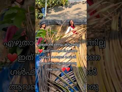 മക്കളോട് പറയാതെ ഉപ്പ ഗൾഫിൽ നിന്ന് സർപ്രൈസ് ആയി വന്നപ്പോൾ 😍🤗🫂#surprisereunion #foryou #daughters #