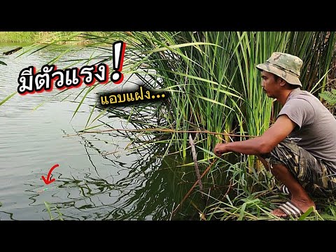 ❗ขอลองบ้างนะคับ..ต้องย้ายจุดถึงจะเจอ | fishing 