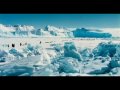 Emperor Penguins: Journey and Characteristics