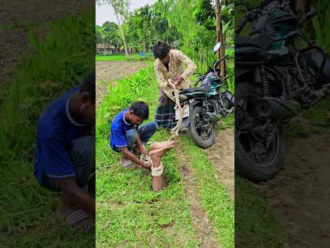 Two people arrived in a car.