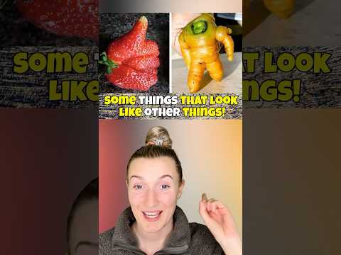 Things That LOOK Like OTHER Things!😂