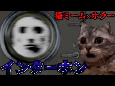 【猫ミーム×怖い話】真夜中に鳴るインターホン #怖い話 #ゾッとする話 #猫マニ