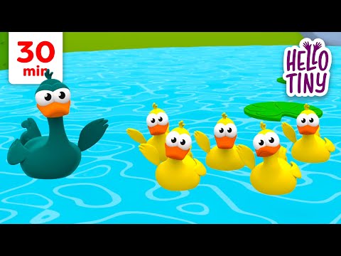 5 Küçük Ördek 🐥 | Bebekler için şarkılar | Hello Tiny Türkçe