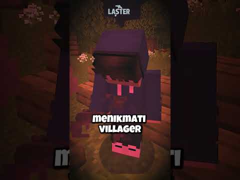 Apa Yang Ada Di Dalam PERUT VILLAGER?