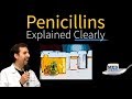 Penicillin and Antibiotic Resistance