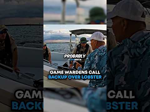 Game Wardens Call Backup Over Lobster😬 @FloridaFishingCouple