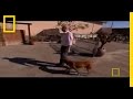 Overcoming Fear of Dogs