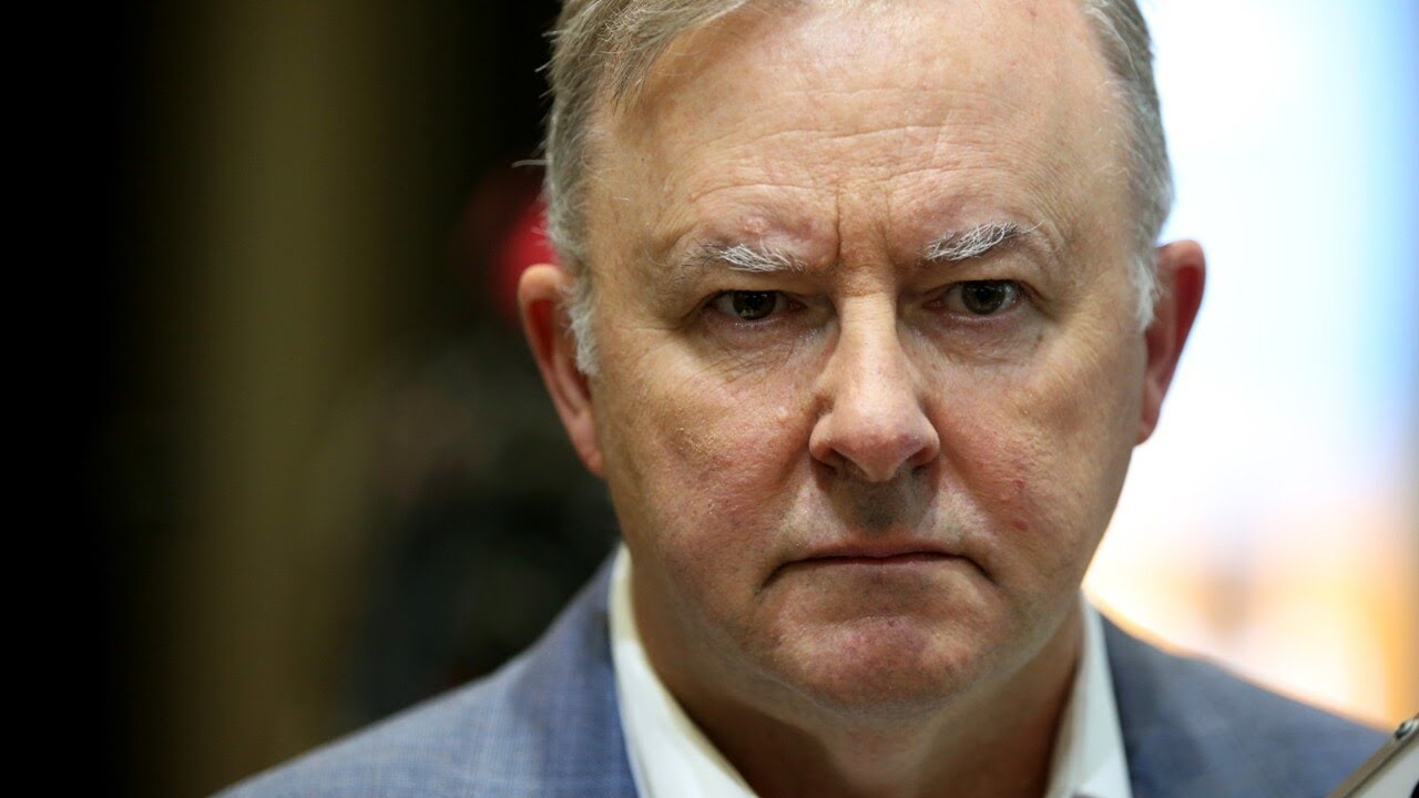 Dramatic fall away’: Support for Albanese government declining