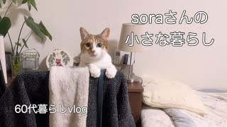 《60代ひとりと猫との暮らし》友達と行くカフェ/鬼饅頭・簡単手作りキムチ/丸の内イルミネーションと父の３回忌　　#ひとり暮らし  #猫との暮らし 