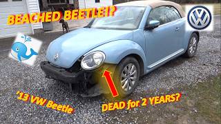 "Beached Beetle"?...Hasn't Run in 2 Years! ('13 VW: ECM No Communication)