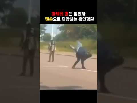 범죄자 맨손으로 제압하는 흑인경찰