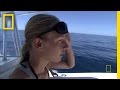 Pilot Whales and Marine Research