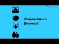 Binomial Nomenclature and Scientific Names