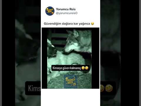 Herkesin dönme olduğu devirde sen olmasaydın bari 😂