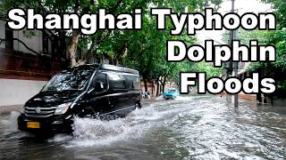 Typhoon Dolphin Hits Shanghai