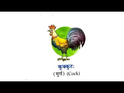 पक्षियों के नाम संस्कृत में