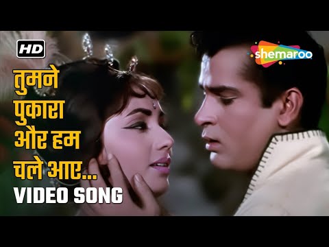 Tumne Pukara Aur Hum Chale Aaye - Rajkumar (1964) | Shammi Kapoor, Sadhana | Classic Hit Song