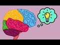 Understanding the Scientific Method