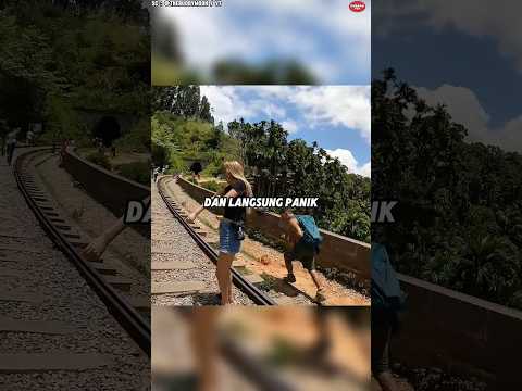 Mereka Tidak Pernah Bisa Lepas dari Serangan Lebah