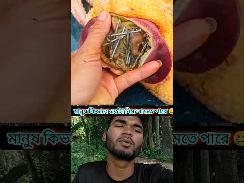 সামান্য লাভের জন্য মানুষ কিভাবে এতটা নিচে নামতে পারে 🥲😌 #sorts #youtube #facts #duet
