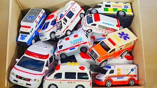 動画サムネイル