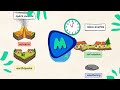 Earth's Surface Changes and Processes
