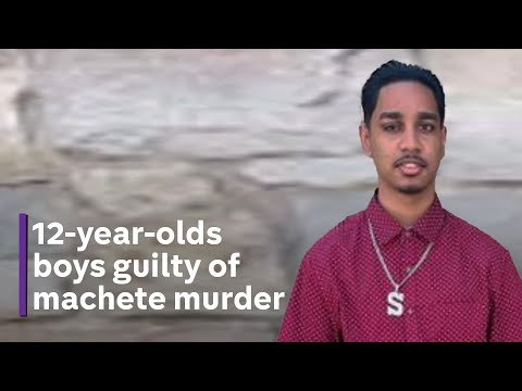 Wolverhampton: 12-year-old boys convicted of murdering a man with a machete