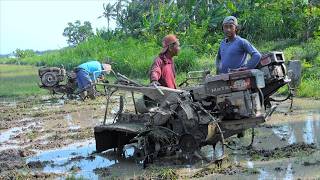 Power Tiller Two Wheel Tractor Working in a Row Preparing Rice Fields