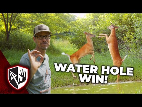 Waterhole Win & Food Plot Redemption