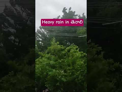 HEAVYRAIN #heavyrain #trendingshorts# cyclone🌪 in AP#monthatufaan#cyclonelive