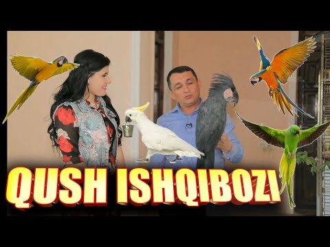 ISHQIBOZ KO'RSATUVIDA QUSHLARNI ENG QIMMATLARINI KO'RSATISHDI