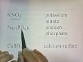 Naming and Identifying Ions and Compounds