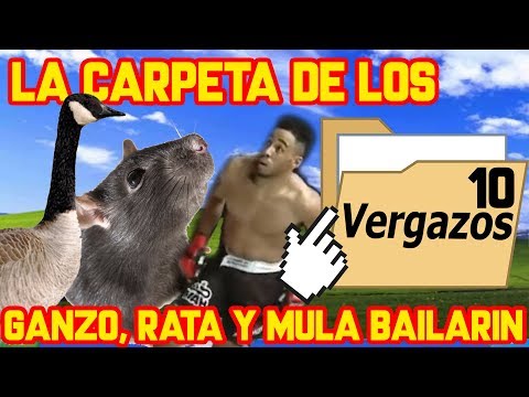 La Carpeta de los Vergazos 10: Ganzo, Rata y Mula Bailarin