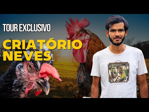 Estrutura de Ponta e Seleção Rigorosa – Conheça o Criatório Neves!